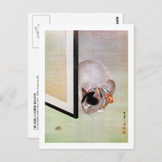 猫 と 蛛, 東 Kat und Spike, Toko Postkarte (Vorne/Hinten)