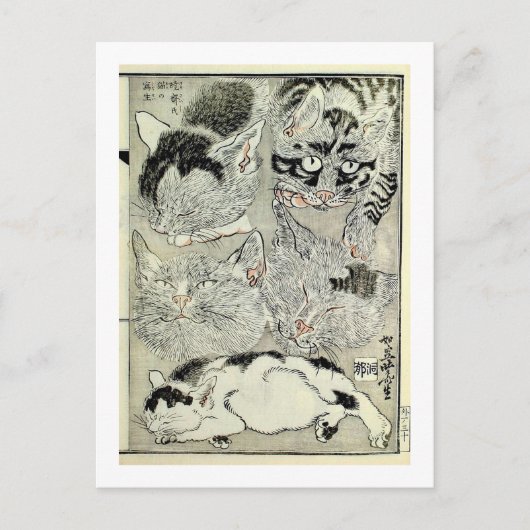 猫, 暁 斎 Katzen, Kyōsai, Ukiyo-e Postkarte (Vorderseite)