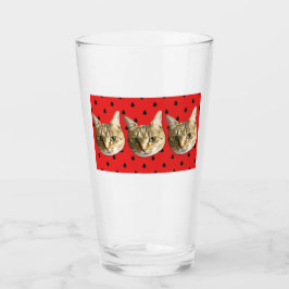 猫 cat glas