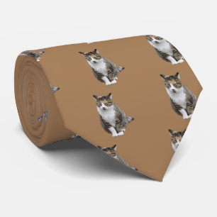 猫(Hybrid) Krawatte