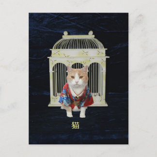 猫 Lucky Cat Postkarte