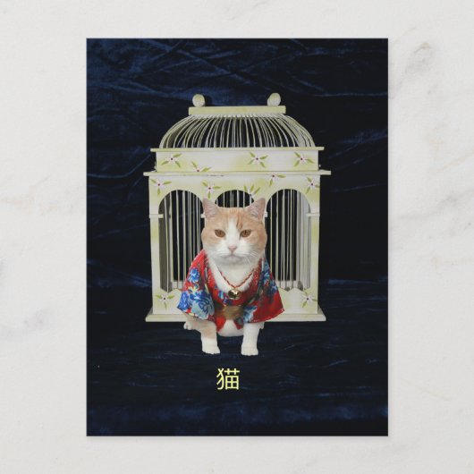 猫 Lucky Cat Postkarte (Vorderseite)