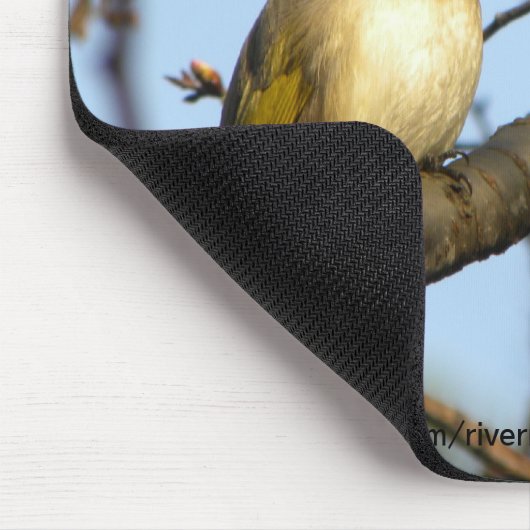 白頭翁 chinesischer Bulbul-Vogel auf Mousepad (Ecke)