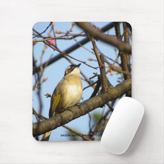 白頭翁 chinesischer Bulbul-Vogel auf Mousepad (Mit Mouse)