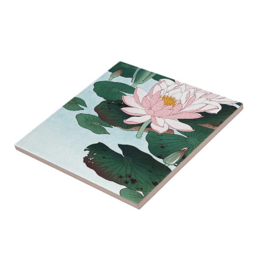 睡蓮, 古邨 Wasser-Lilie, Koson, Ukiyo-e Fliese (Seite)