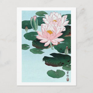 睡 蓮, 古, 邨 Water Lily, Koson, Ukiyo-e Postkarte