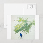 竹に青鳥, 栖鳳 Bambus und blauer Vogel, Seihō, Postkarte (Vorne/Hinten)