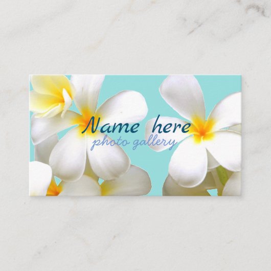 米スタンダード 8.89cm x 5.08cm名刺 名刺 visitenkarte (Vorderseite)