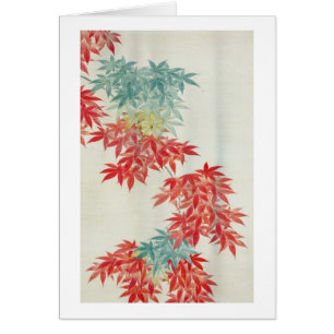 紅葉, 其一 japanischer Ahornbaum, Kiitsu