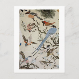 群 鳥 図, 中 道, Vögel (im Detail), Nakazumi Doun Postkarte