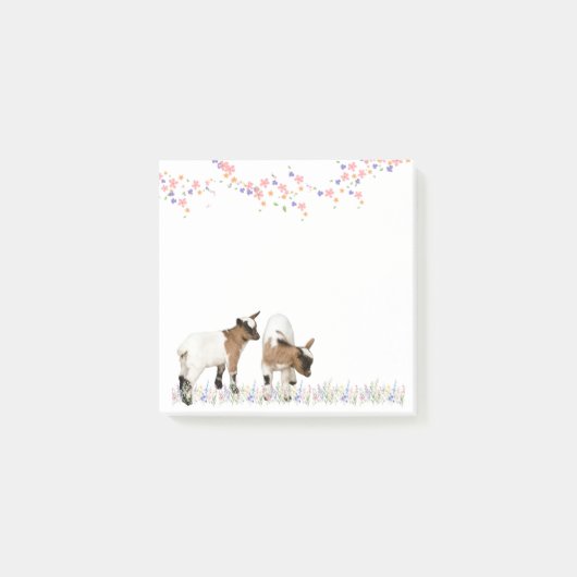 花とかわいい子ヤギ♡ POST-IT KLEBEZETTEL (Vorderseite)
