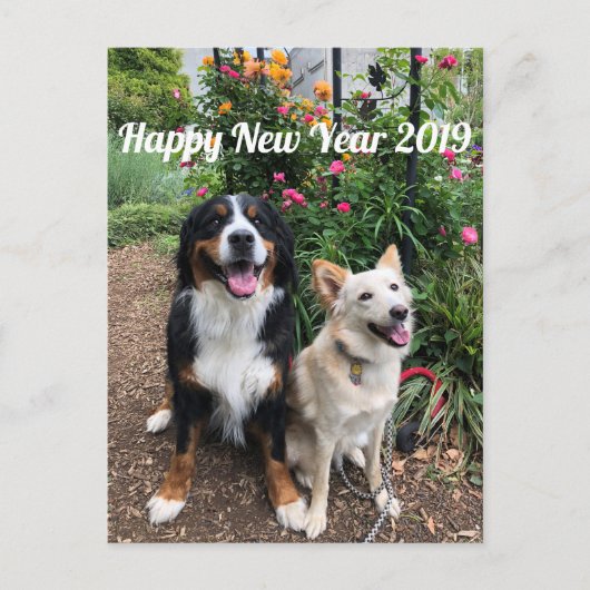 花 の 年 状2019 POSTKARTE (Vorderseite)