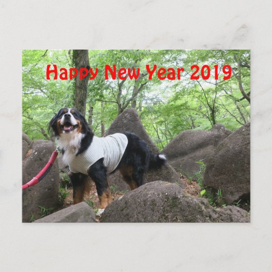 花 音2019 年 状 POSTKARTE (Vorderseite)