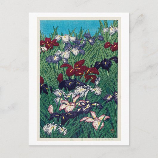 菖蒲, Iris, Hasui Kawase, Holzschnitt Postkarte (Vorderseite)
