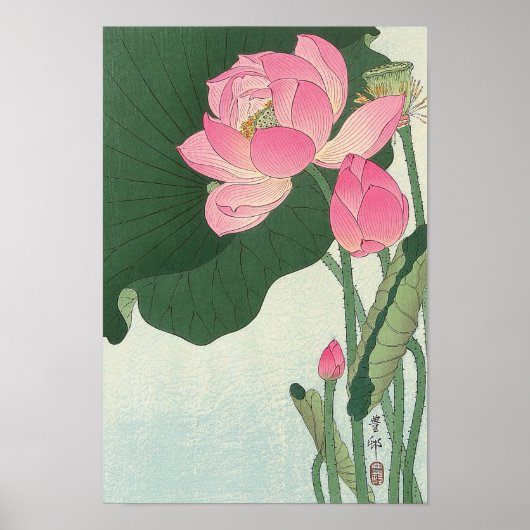 蓮 の 花, 小 古 原 Lotus Blume, Ohara Koson, Ukiyo-e Poster (Vorne)