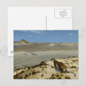 虎 POSTKARTE (Vorne/Hinten)