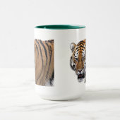 虎 TASSE (Zentrum)