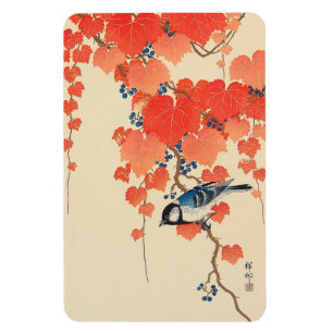 赤 い 蔦 鳥, 古 邨 Bird on Red Ivy, Koson, Ukiyo-e Magnet