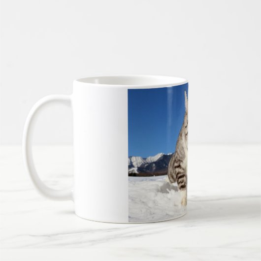 野良猫ニャン吉【肉球全開!】 KAFFEETASSE (Links)