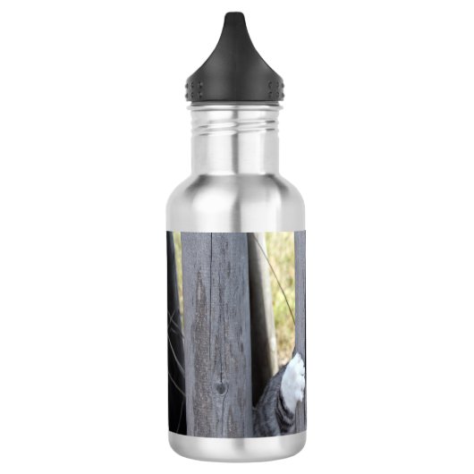 野良猫ニャン吉【逃走中】 TRINKFLASCHE (Links)