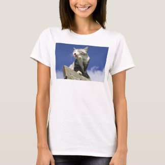 野良猫ニャン吉【青空眩しいぜ!】 T-Shirt