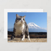 野 良 ニ 吉 猫 い 【 よ! POSTKARTE (Vorne/Hinten)