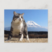 野 良 ニ 吉 猫 い 【 よ! POSTKARTE (Vorderseite)