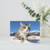 野 良 猫ャ 吉 ン 【 Nummer 肉 Nummer ニ! Postkarte (Stehend Vorderseite)