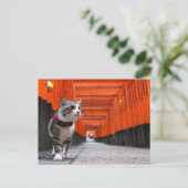 野 良 猫 ニ 吉 伏 【 POSTKARTE (Stehend Vorderseite)