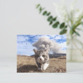 野 良 猫 ニ 吉 活 POSTKARTE (Stehend Vorderseite)