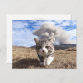 野 良 猫 ニ 吉 活 POSTKARTE (Vorne/Hinten)