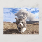 野 良 猫 ニ 吉 活 POSTKARTE (Vorderseite)