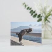 野 良 猫 ニ 吉 錦 【 POSTKARTE (Stehend Vorderseite)