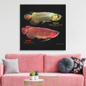 金と赤のAsian Arowana Leinwanddruck (Insitu (Wohnzimmer))