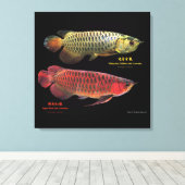 金と赤のAsian Arowana Leinwanddruck (Insitu (Holzboden))