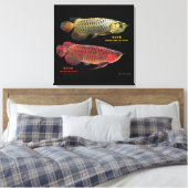 金と赤のAsian Arowana Leinwanddruck (Insitu (Schlafzimmer))