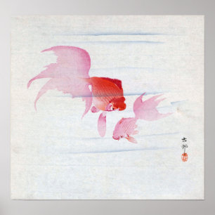 金 魚, 古 Paar von Goldfish, Koson, Ukiyo-e, Woodcut Poster