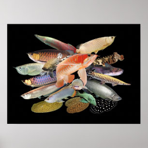 飛 び 出 す 熱 大 POSTER