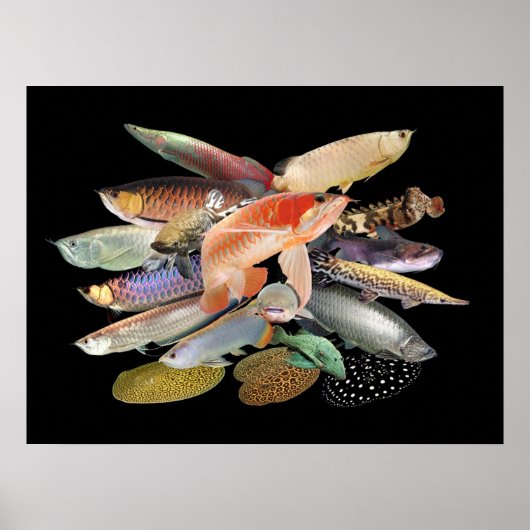 飛 び 出 す 熱 大 POSTER (Vorne)