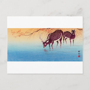 鹿, 小 原 古 Hirsch, Ohara Koson, Ukiyo-e Postkarte