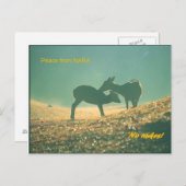 鹿 Nara Postkarte (Vorne/Hinten)