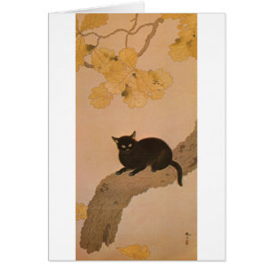 黒 猫, 春 草 Black Cat, Shunsō