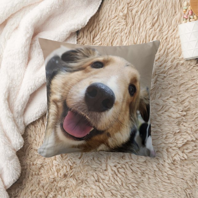 스 마 일 강 아 지 얼 굴 KISSEN (Decke)