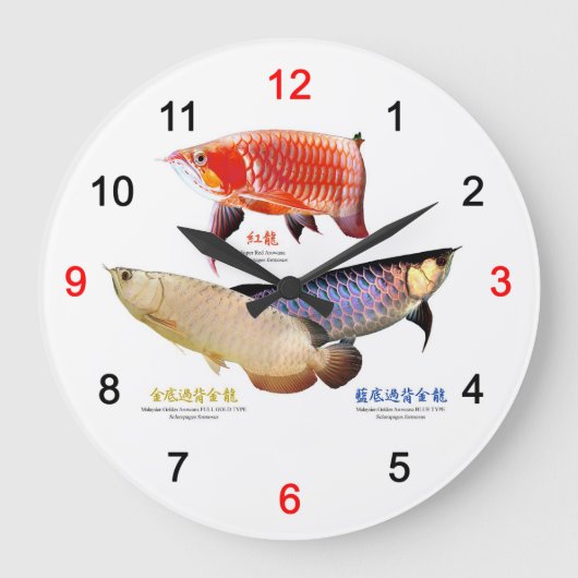 3種類のAsian Arowana Große Wanduhr (Vorderseite)