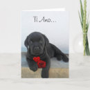 Suche nach möpse der liebe i karten Hund