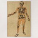 Suche nach skelett puzzle Menschliche anatomie