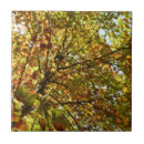 Suche nach herbstfarben fliesen Jede person