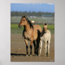 Suche nach mustang poster Horses