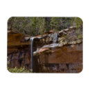 Suche nach zion national park magnete Usa