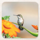 Suche nach kolibris untersetzer Natur